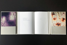 Bernadette Mergaerts, Balkan Men, photo-3