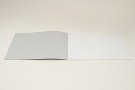 Paul D'Haese, Borderline, photo-6