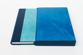 Michel Houellebecq, Configuration du dernier rivage, photo-2