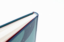 Michel Houellebecq, Configuration du dernier rivage, photo-8