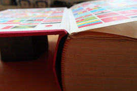 Gardes déchirées, photo-4